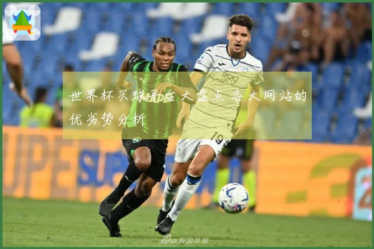 世界杯买球平台大盘点 各大网站的优劣势分析