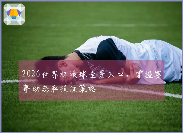 2026世界杯滚球全景入口,掌握赛事动态和投注策略