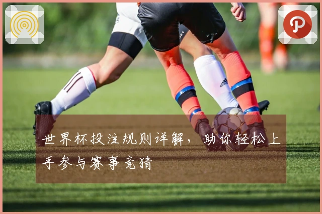 世界杯投注规则详解,助你轻松上手参与赛事竞猜