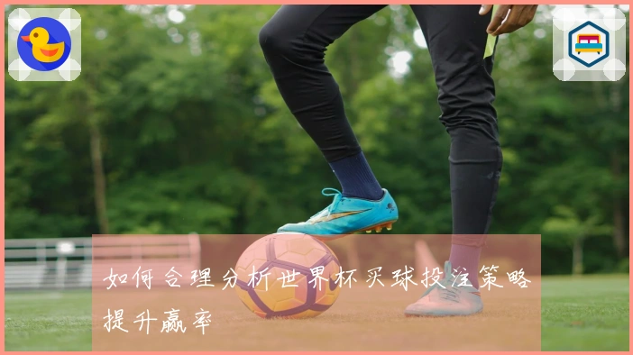 如何合理分析世界杯买球投注策略提升赢率