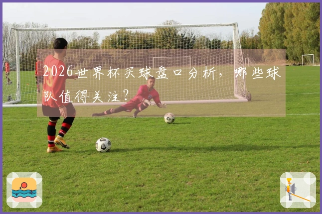 2026世界杯买球盘口分析,哪些球队值得关注?