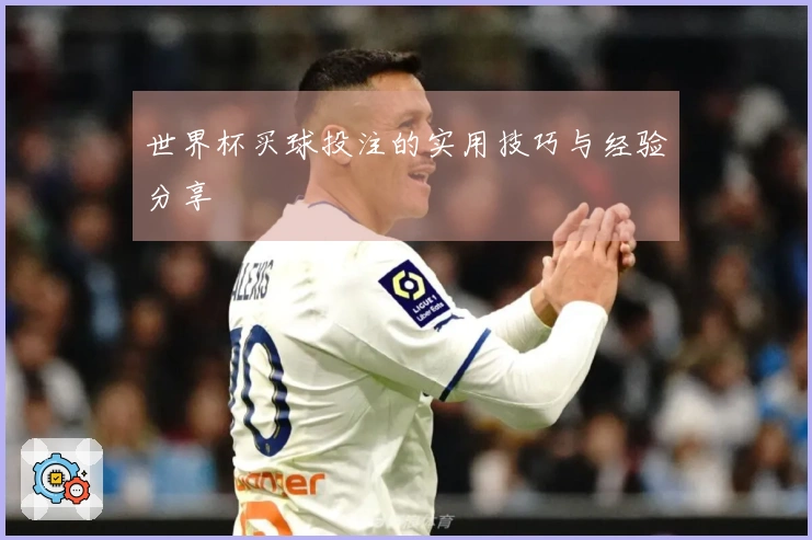 世界杯买球投注的实用技巧与经验分享