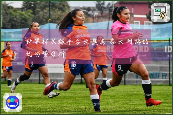 世界杯买球平台大盘点 各大网站的优劣势分析