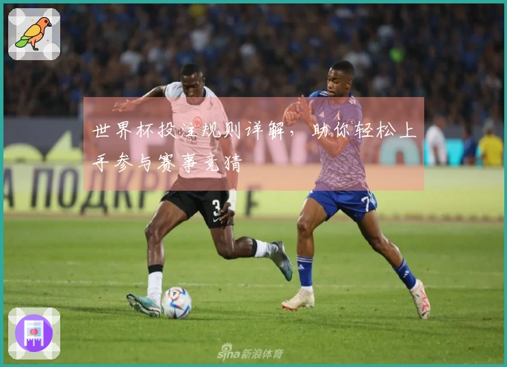世界杯投注规则详解，助你轻松上手参与赛事竞猜