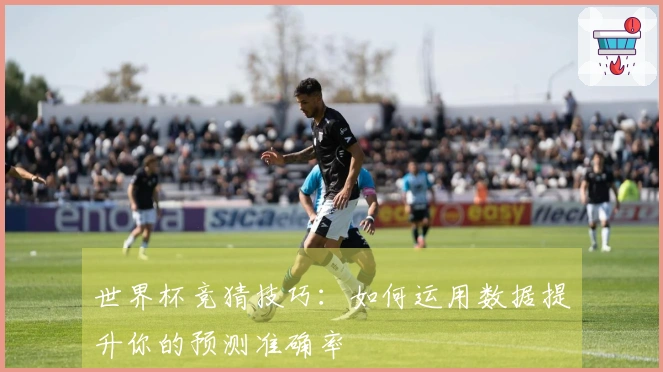 世界杯竞猜技巧:如何运用数据提升你的预测准确率