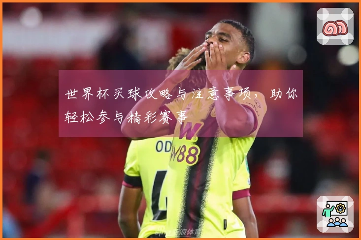 世界杯买球攻略与注意事项,助你轻松参与精彩赛事
