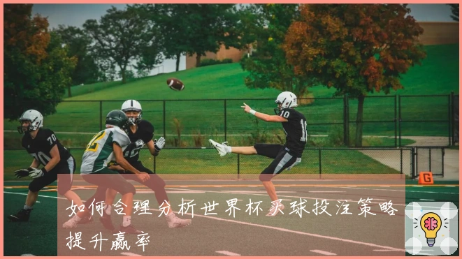 如何合理分析世界杯买球投注策略提升赢率