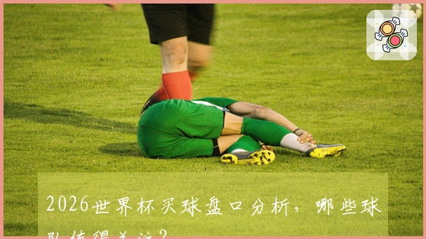 2026世界杯买球盘口分析，哪些球队值得关注？
